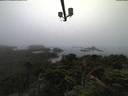 ./images/calvert/lookout/20210811/lookout20210811_055502.jpg