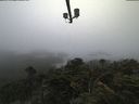 ./images/calvert/lookout/20210811/lookout20210811_061502.jpg