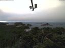 ./images/calvert/lookout/20210811/lookout20210811_065501.jpg