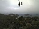 ./images/calvert/lookout/20210811/lookout20210811_074502.jpg