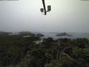 ./images/calvert/lookout/20210811/lookout20210811_075002.jpg