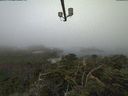 ./images/calvert/lookout/20210811/lookout20210811_081002.jpg