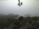 ./images/calvert/lookout/20210811/lookout20210811_082001.jpg