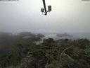 ./images/calvert/lookout/20210811/lookout20210811_082501.jpg