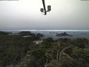 ./images/calvert/lookout/20210811/lookout20210811_084501.jpg