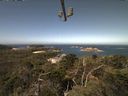 ./images/calvert/lookout/20210811/lookout20210811_111002.jpg