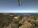 ./images/calvert/lookout/20210811/lookout20210811_114502.jpg