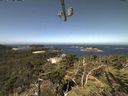 ./images/calvert/lookout/20210811/lookout20210811_115002.jpg