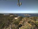 ./images/calvert/lookout/20210811/lookout20210811_115502.jpg