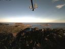 ./images/calvert/lookout/20210812/lookout20210812_071501.jpg