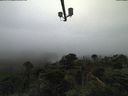 ./images/calvert/lookout/20210814/lookout20210814_185501.jpg