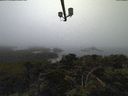 ./images/calvert/lookout/20210814/lookout20210814_201501.jpg