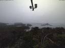 ./images/calvert/lookout/20210814/lookout20210814_205001.jpg