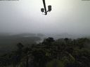./images/calvert/lookout/20210815/lookout20210815_070502.jpg