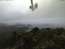 ./images/calvert/lookout/20210815/lookout20210815_091502.jpg