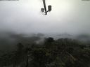 ./images/calvert/lookout/20210815/lookout20210815_122502.jpg