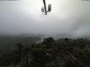 ./images/calvert/lookout/20210815/lookout20210815_132001.jpg