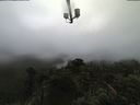 ./images/calvert/lookout/20210815/lookout20210815_140502.jpg