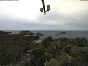 ./images/calvert/lookout/20210816/lookout20210816_084001.jpg
