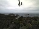 ./images/calvert/lookout/20210816/lookout20210816_092001.jpg