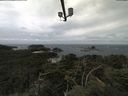 ./images/calvert/lookout/20210816/lookout20210816_105501.jpg