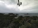 ./images/calvert/lookout/20210816/lookout20210816_111001.jpg
