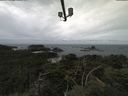 ./images/calvert/lookout/20210816/lookout20210816_111501.jpg
