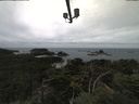 ./images/calvert/lookout/20210816/lookout20210816_113501.jpg