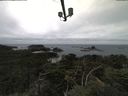 ./images/calvert/lookout/20210816/lookout20210816_114002.jpg
