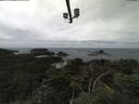 ./images/calvert/lookout/20210816/lookout20210816_121002.jpg