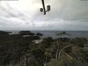 ./images/calvert/lookout/20210816/lookout20210816_132502.jpg