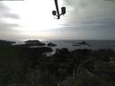 ./images/calvert/lookout/20210816/lookout20210816_164501.jpg