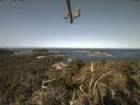 ./images/calvert/lookout/20210817/lookout20210817_100001.jpg