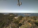 ./images/calvert/lookout/20210817/lookout20210817_113501.jpg