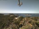 ./images/calvert/lookout/20210817/lookout20210817_114501.jpg