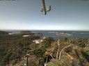 ./images/calvert/lookout/20210817/lookout20210817_115001.jpg