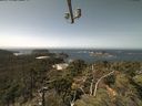 ./images/calvert/lookout/20210817/lookout20210817_124501.jpg