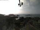 ./images/calvert/lookout/20210817/lookout20210817_160501.jpg