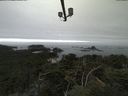 ./images/calvert/lookout/20210818/lookout20210818_111501.jpg