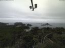 ./images/calvert/lookout/20210818/lookout20210818_113502.jpg