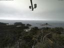 ./images/calvert/lookout/20210818/lookout20210818_121002.jpg