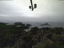 ./images/calvert/lookout/20210818/lookout20210818_131502.jpg