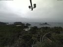 ./images/calvert/lookout/20210818/lookout20210818_141001.jpg