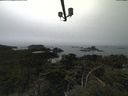 ./images/calvert/lookout/20210818/lookout20210818_152502.jpg