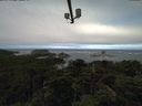 ./images/calvert/lookout/20210819/lookout20210819_092001.jpg