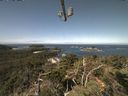 ./images/calvert/lookout/20210819/lookout20210819_112002.jpg