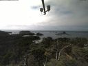 ./images/calvert/lookout/20210820/lookout20210820_144001.jpg