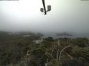 ./images/calvert/lookout/20210824/lookout20210824_081001.jpg