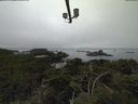 ./images/calvert/lookout/20210824/lookout20210824_091002.jpg