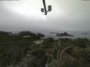 ./images/calvert/lookout/20210824/lookout20210824_091501.jpg